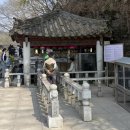 성명공원 | [경북/영천 관광명소] 1가지 소원을 이루저는 돌할매공원