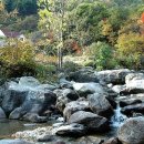 푸른숲계곡산방 이미지