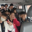 강철태권도체육관 이미지