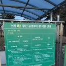 소래로 | 소래포구종합어시장 횟집 광어•방어회 내돈내산 구매후기