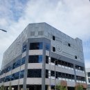 복기애견 이미지