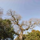 인성리-2 이미지