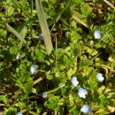 하버드유치원 이미지