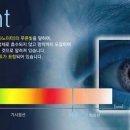 레드라이트 이미지