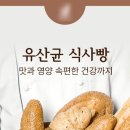 마케팅치트키