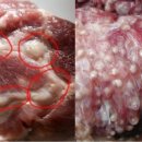 013-조리-013 이미지