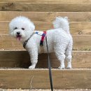 백슬동물병원 이미지