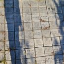 도양-5호 | 전남 고흥, 발포만호 이순신 오동나무터와 박석광장