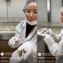 다온펫푸드 이미지