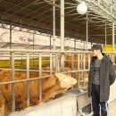 관성3리 이미지