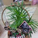 관호초교(병설) 이미지