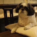 126mansion 이미지