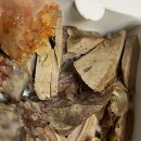 파크브라이언오피스텔 | 해운대참사리순대트럭 화요일 현대아파트