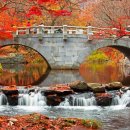 새벽즈음 이미지