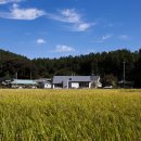 조제보건진료소 이미지