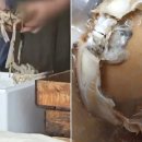 한 수산 이미지