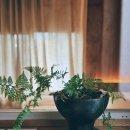 아날로그 우리집 이미지