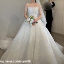 [결혼 준비] 코코드브라이덜 드레스 투어 | 26 S/S 비즈 드레스, 추가금 공유, 김정숙 원장님 지명...