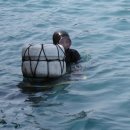 지리해수욕장 이미지