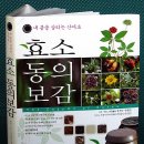 (주)산야초로 이미지