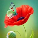 맛이2%부족할 때 살리는 신의 한수15가지 이미지