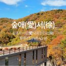 웰빙댄스(초급) | 양산숲애서 힐링여행: 예약·체험·숙소 한눈에