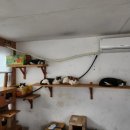 이쁜것들 이미지