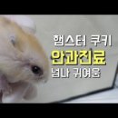하안동물병원 이미지