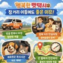 행복펫택시 이미지