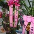 임약국 이미지