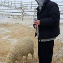 한샘목장 이미지