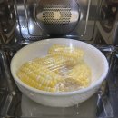 오브제-옥수수 이미지