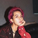 치피치피 이미지