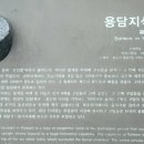 제주 용담동 유적 네이버블로그