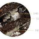 앙주케이크
