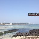 신창1 발전소 이미지