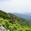 정선군 도사곡샘터 이미지