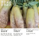 평창천년삼 이미지