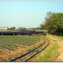 신평복음의원 이미지