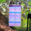 자연보호 헌장비 | 부산 해운대 아이랑 가볼 만한 곳 씨라이프 부산 아쿠아리움