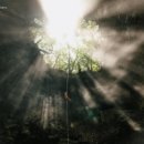 하도로와 이미지