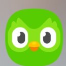 (주)구문 | 듀오링고 어플로 일본어 기초공부 22~38일차 후기ㅣ듀오링고 반창고 없애는법, 리그 1등