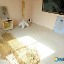 피카소모텔 이미지