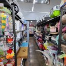 야옹아 멍멍해봐 오산점 이미지