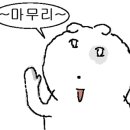 매대49번 네이버블로그