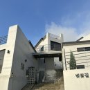 벚꽃길 | 남해여행 오션뷰 숙소 추천 벚꽃길 지나서 201호 내돈내산 후기