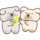 힐클리닉몰