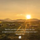 Bible Reading - Malachi 4:1~6 이미지