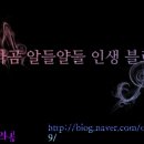 시유펫