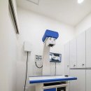 숲속 동물병원 이미지